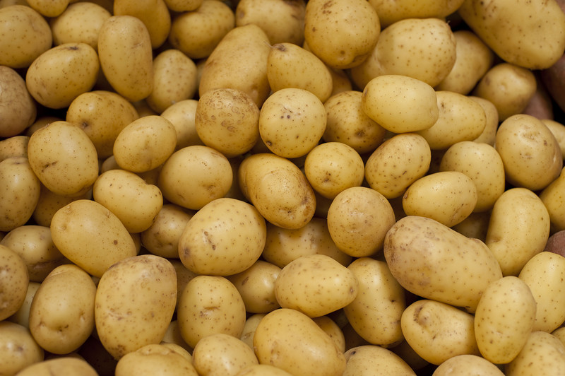 Yukon Gold potatoes