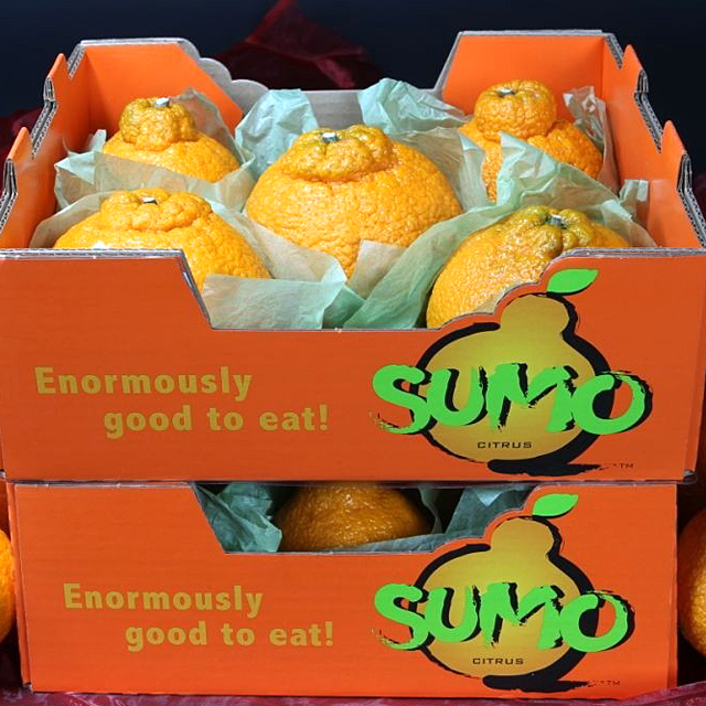 What Is A Sumo Orange And Why Is Everyone Eating Them?